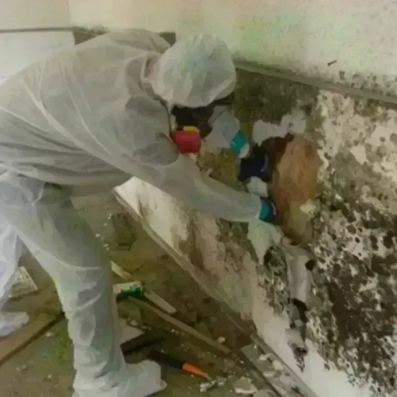 Mold Remediation and Removal in Margate City, NJ