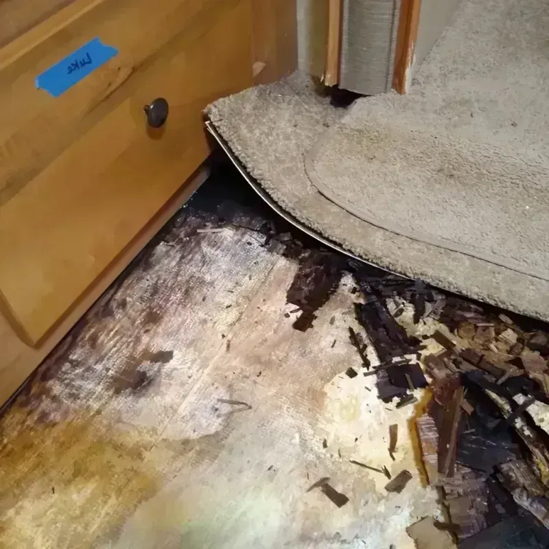 Wood Floor Water Damage in Margate City, NJ